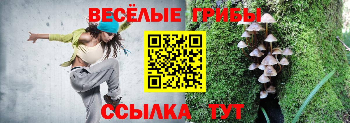 Галлюциногенные грибы MAGIC MUSHROOMS Благовещенск