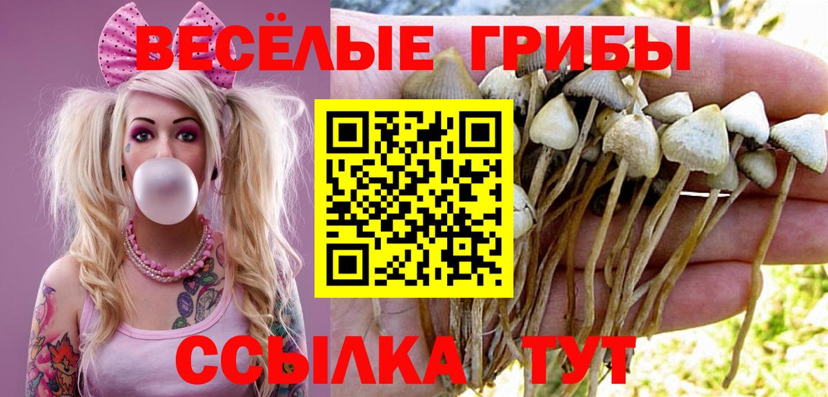 Благовещенск  Галлюциногенные грибы MAGIC MUSHROOMS  Псилоцибиновые грибы ЛСД  Вход с VPN 